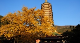 八大处景点介绍