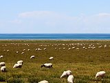 格尔木十大旅游景点