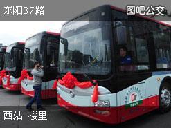 金华37路公交车路线