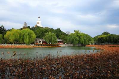 北海公园旅游