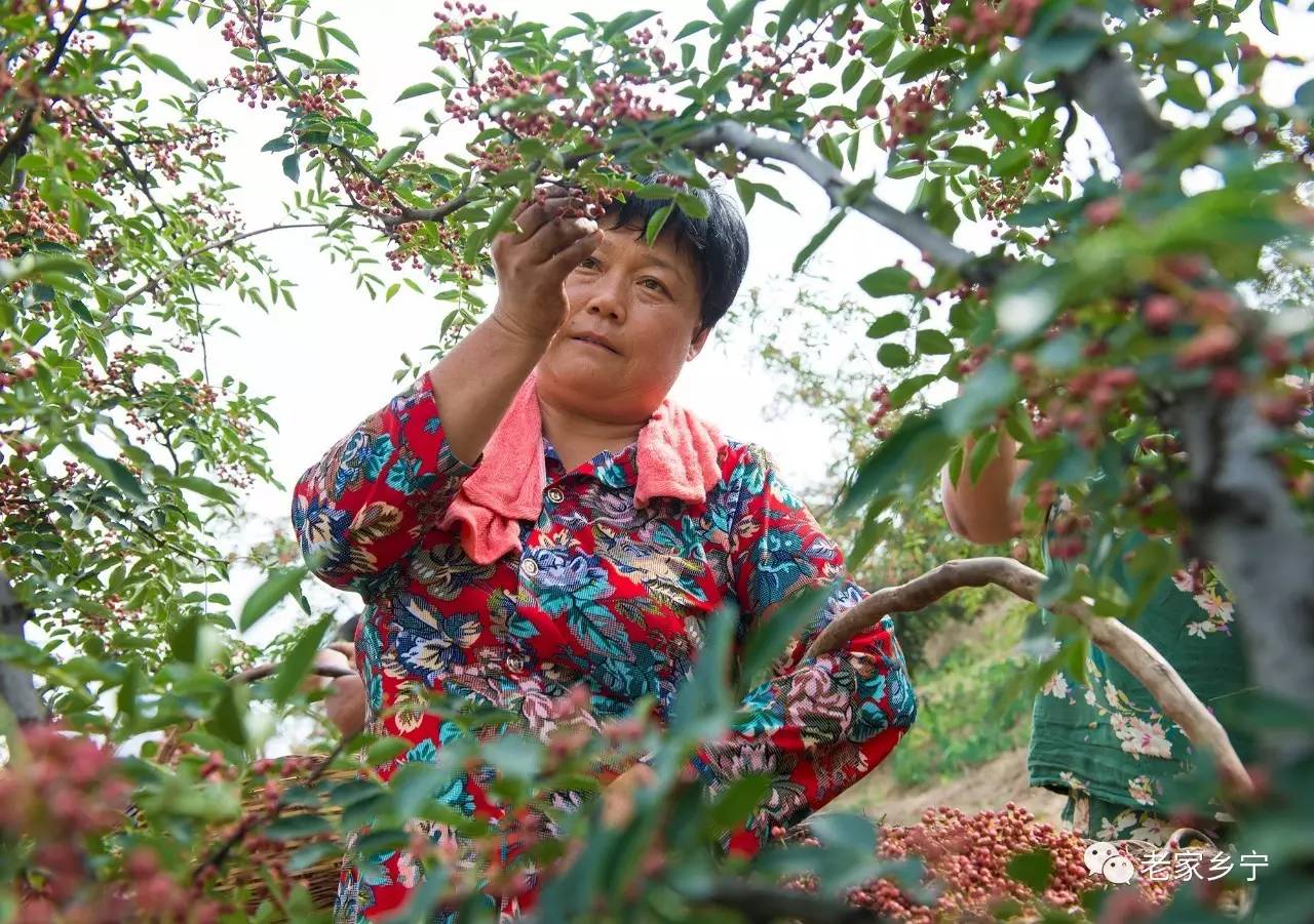 乡宁在哪里
