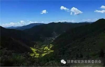 武都旅游景点大全