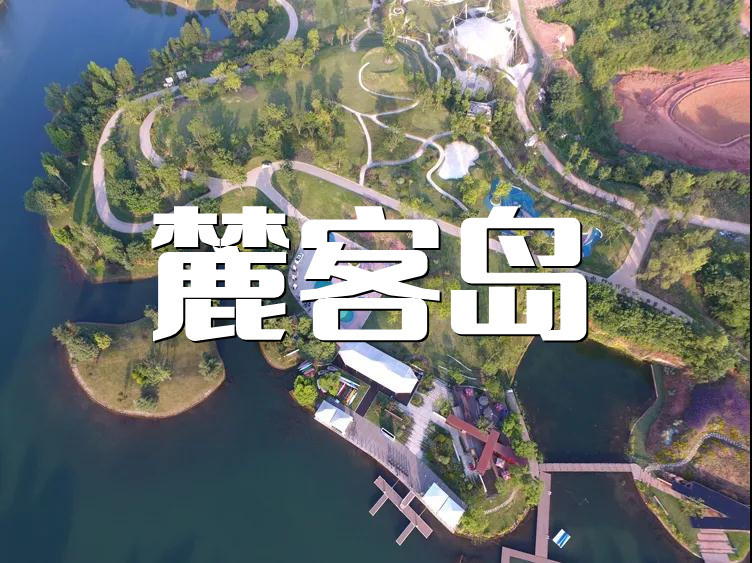 麓客岛在哪里