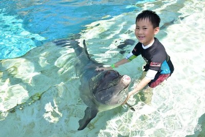 带小孩适合去哪旅游