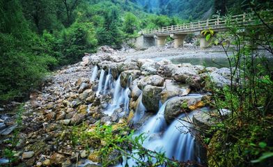 武都旅游景点大全