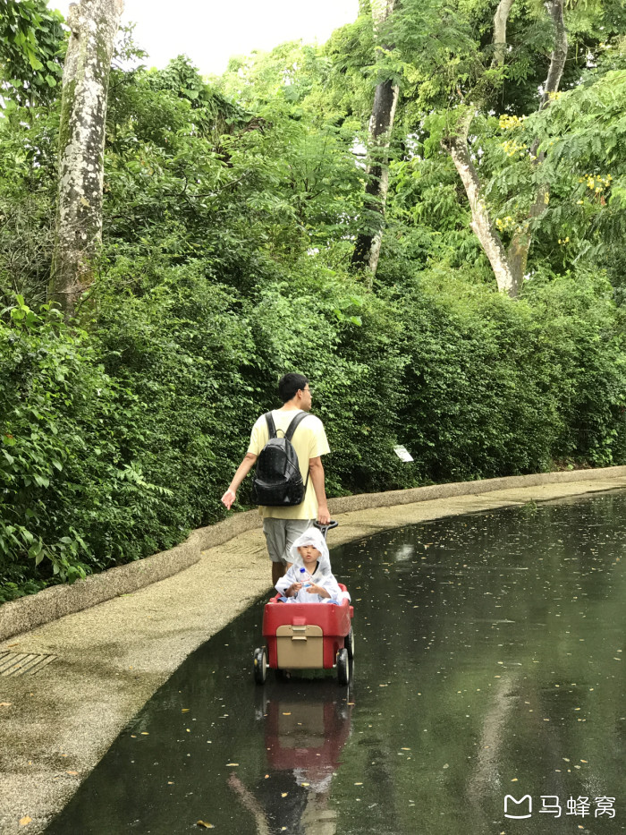 带小孩适合去哪旅游