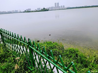 武汉金银湖湿地公园