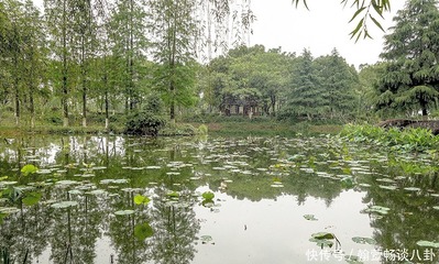 武汉金银湖湿地公园