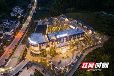 主题酒店投资