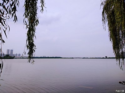 武汉金银湖湿地公园