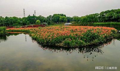 武汉金银湖湿地公园