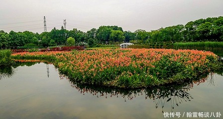 武汉金银湖湿地公园