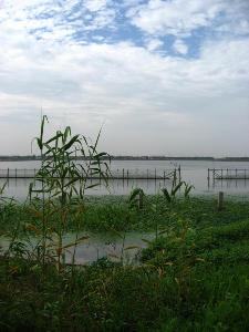 汾湖属于哪里