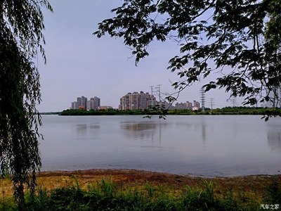 武汉金银湖湿地公园
