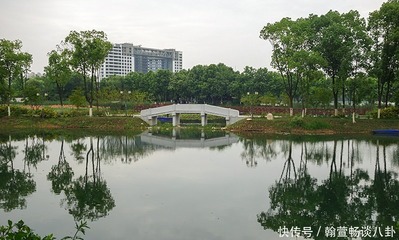 武汉金银湖湿地公园