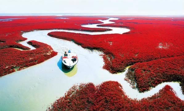 盘锦旅游必去景点排名