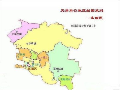东丽是哪里