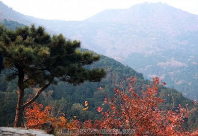 照金旅游攻略