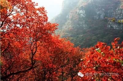 石门坊旅游攻略