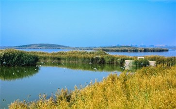 西安到青海湖旅游攻略