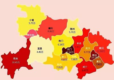 武汉有几个市
