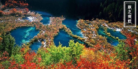 成都至九寨沟旅游价格