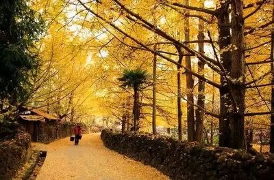 12月国内旅游去哪里好