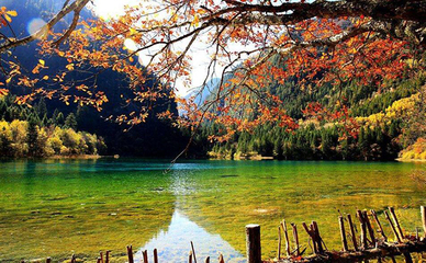 成都至九寨沟旅游价格
