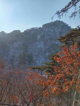 千山 旅游攻略