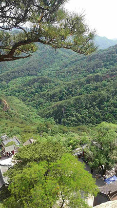 千山 旅游攻略