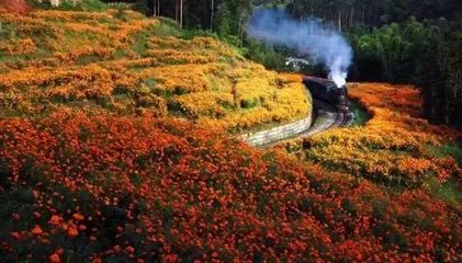 峨眉山火车