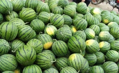 昌乐有什么好吃的