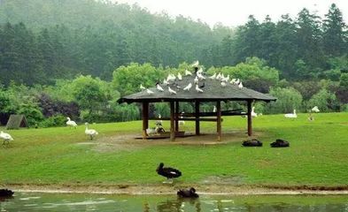 安吉百草园几点开门