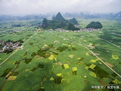 广西的十万大山在哪里