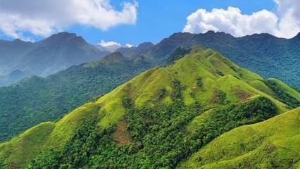广西的十万大山在哪里
