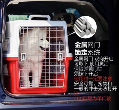 火车托运狗狗