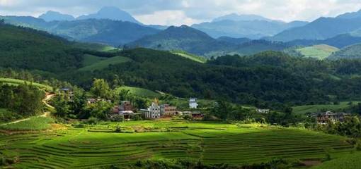 广西的十万大山在哪里