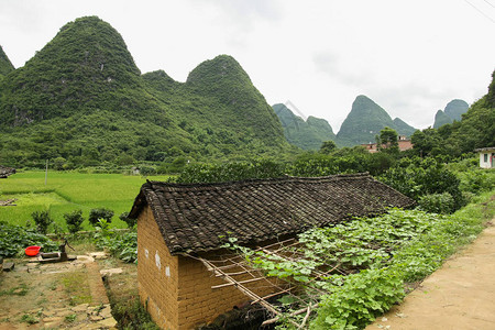 广西的十万大山在哪里