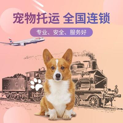 火车托运狗狗