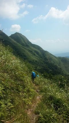 广西的十万大山在哪里