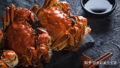 阳澄湖哪里的