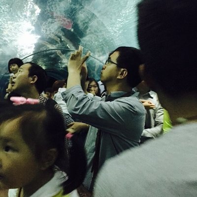 带小孩去上海旅游攻略