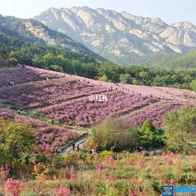 烟台昆嵛山旅游攻略