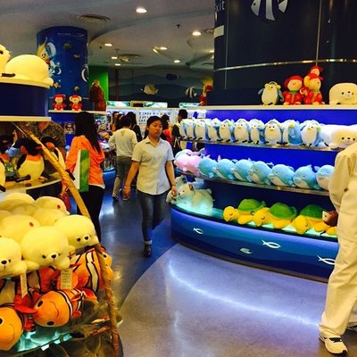 带小孩去上海旅游攻略