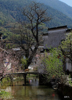 山西婺源旅游景点大全