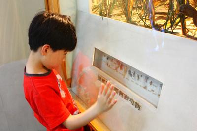 带小孩去上海旅游攻略