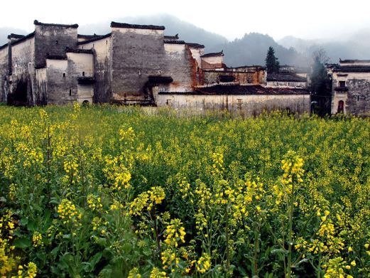 山西婺源旅游景点大全