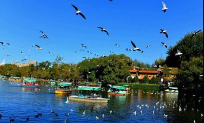 云南冬天去哪里旅游好