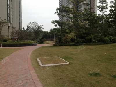 广州金山谷房价