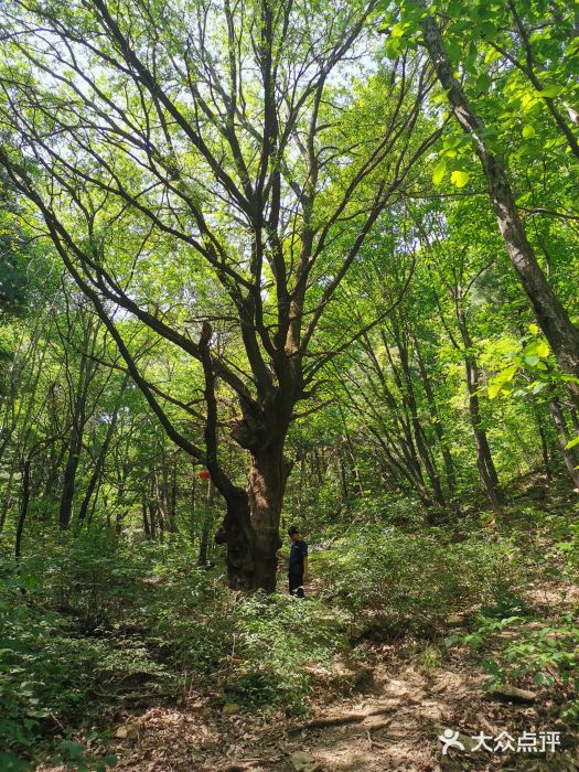西安莲花山森林公园